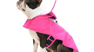 🐶 댕댕이 산책 필수템! 유에프오 강아지 우비 솔직 후기 & 꿀팁 ☔️
