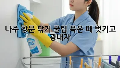 나주🏡 창문 닦기✨ 꿀팁🍯: 묵은 때 벗기고 광내자!