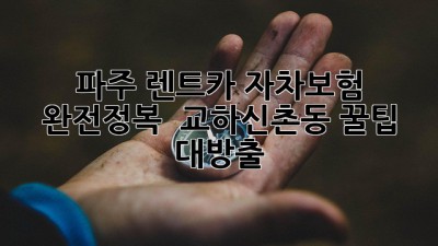 파주 렌트카 자차보험 완전정복! 🚗💨 교하/신촌동 꿀팁 대방출